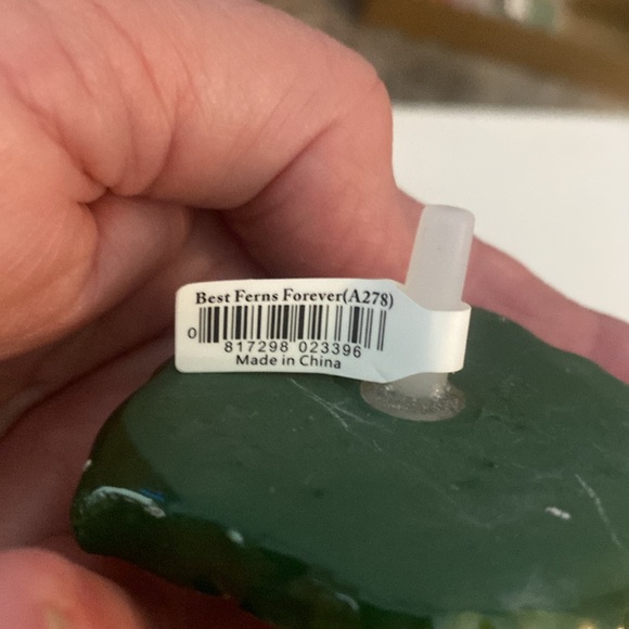 Nora Fleming mini Best Ferns forever - Picture 4 of 4